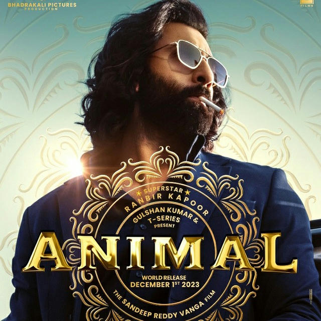 Animal Movie 🎬