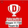 Dream 11 T20 Match GL SL Team Provider