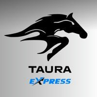 Taura EXPRESS | Доставка из Китая