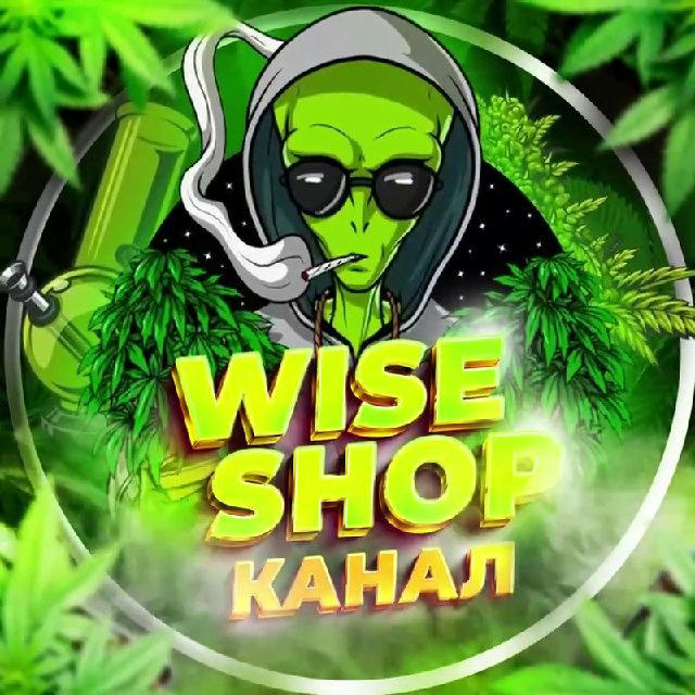 👽WISE SHOP | CHANNEL🛸