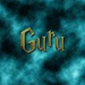 TIPPING GURU™