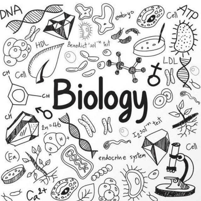 Biology