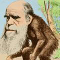 A farsa do darwinismo