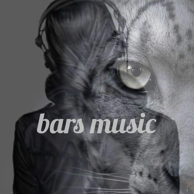 _barsmusic