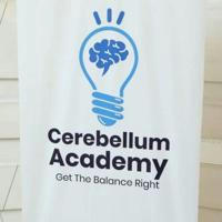 Cerebellum Academy