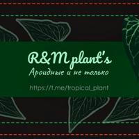 🌿R&M plant’s🌿