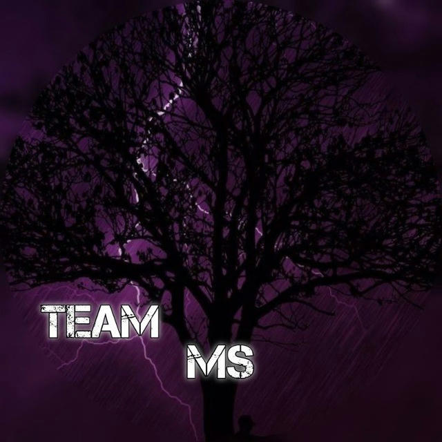 Team MS