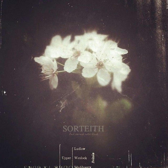 Sorteith.
