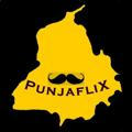 Punjab flix 🎥