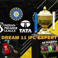 DREAM11 IPL EXPERT😍