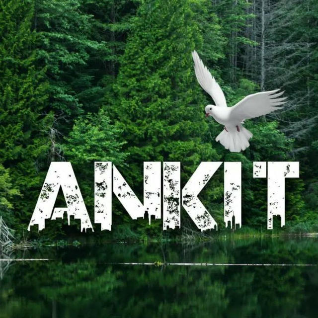 ANKIT REPORTER™