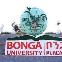 Bonga University Official Telegram