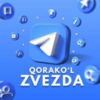 Qorako'l Zvezda | Rasmiy kanal