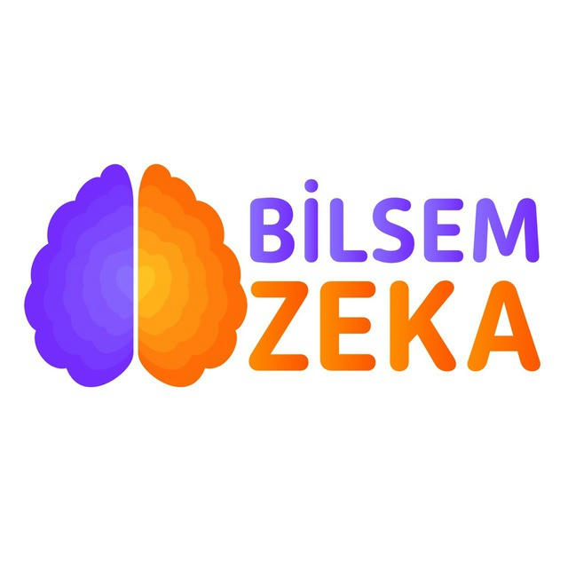 BİLSEM ZEKA