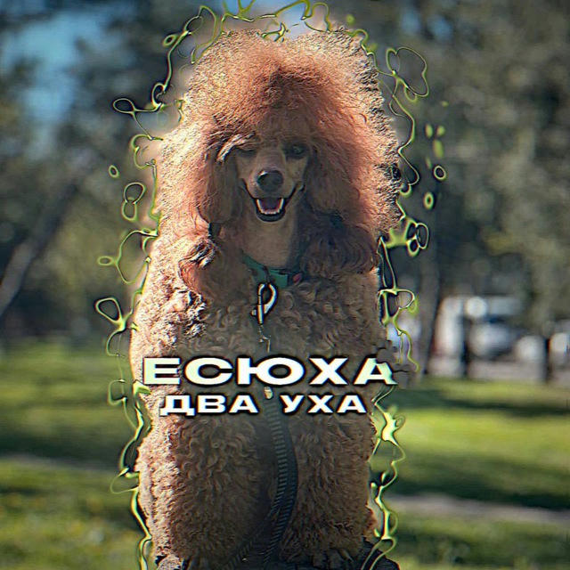 Есюха два уха🐾🐩