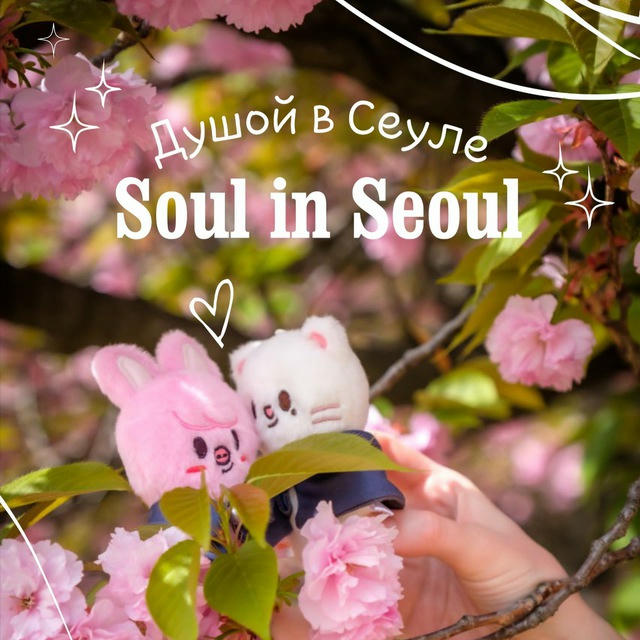 Душой в Сеуле ✨ Soul in Seoul