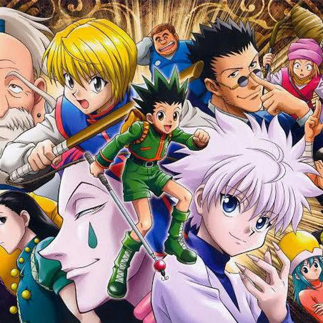 Hunter x Hunter Season 1,2 Official Hindi Dubbed