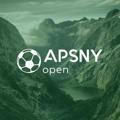 Apsny Open