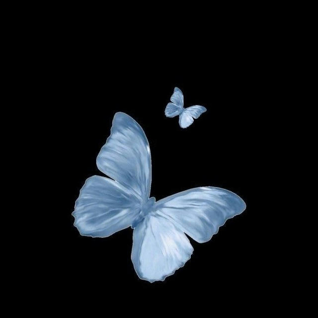 Whispering Butterflies •🦋•