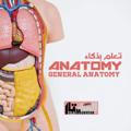 تعلم بذكاء anatomy 🦴 MED