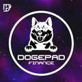 Official Dogepad Announcement