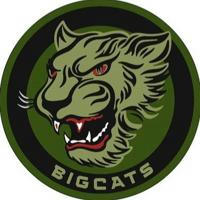 BIGCATS.info