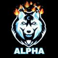 Alpha series 3.0❤️