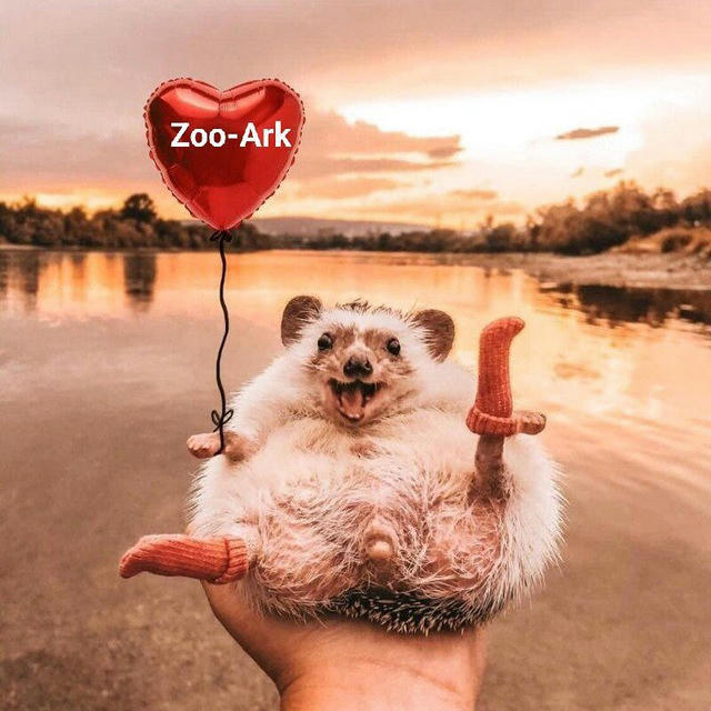 Zoo-Ark | мир пушистиков | домашние и дикие животные