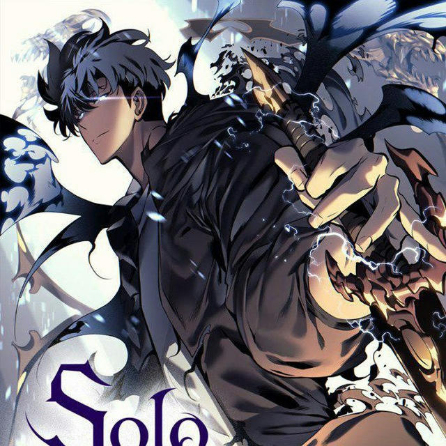 SOLO LEVELING S01 VOSTFR