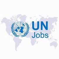 UN Jobs Official