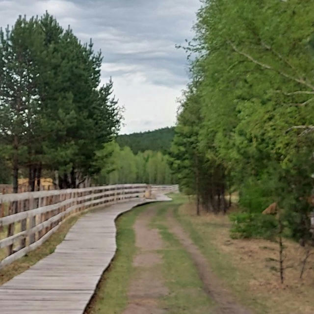 "Читинский городской зоопарк"