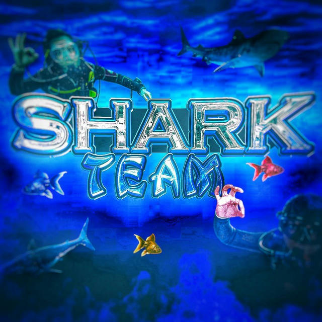 Shark Team Shop 🦈