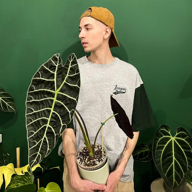 Алексей и его растения
