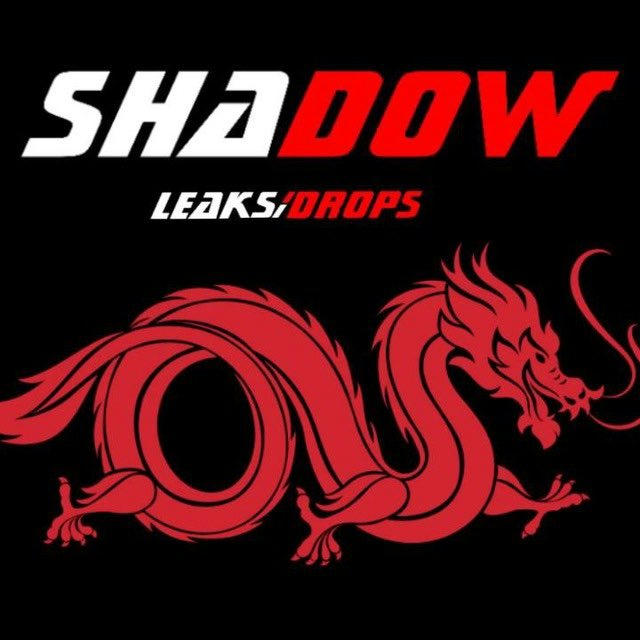 Shadow Leaks