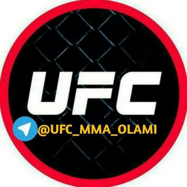 UFC MMA OLAMI