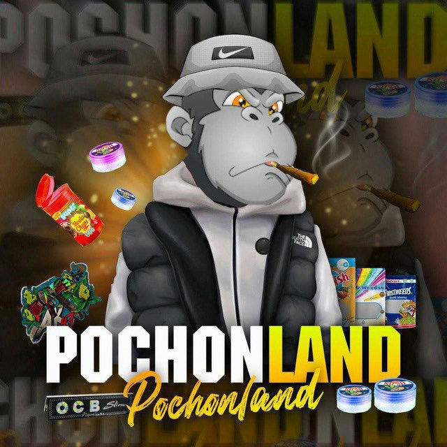 Pochonland 🥇
