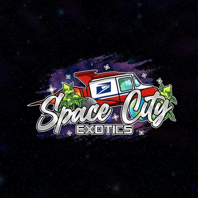 SpaceCityExotic