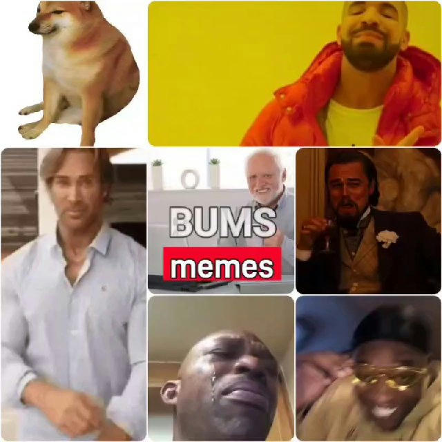 BUMS Memes