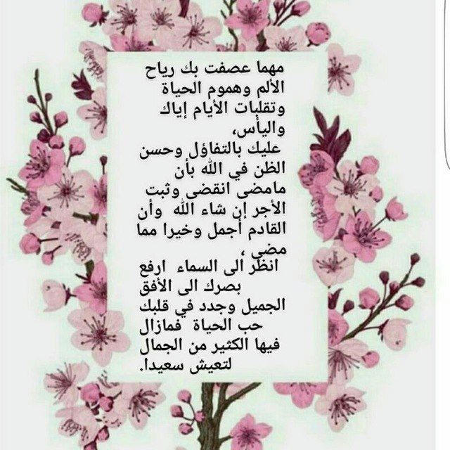 🌷ضياء من نور 🌷