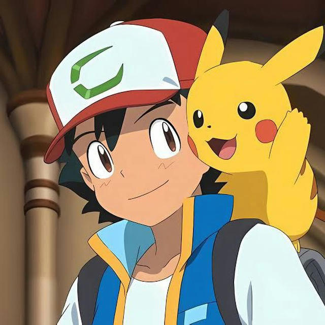 POKEMON ALL SEASON OFFICIAL HINDI