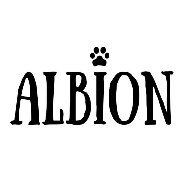 Albion_collar