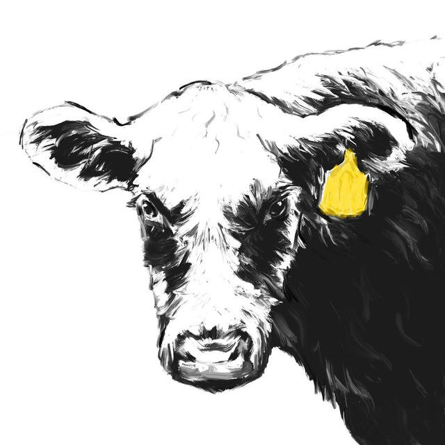 Мясной кооператив «Старая корова»