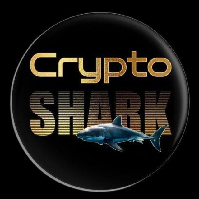 Crypto Shark 🐬