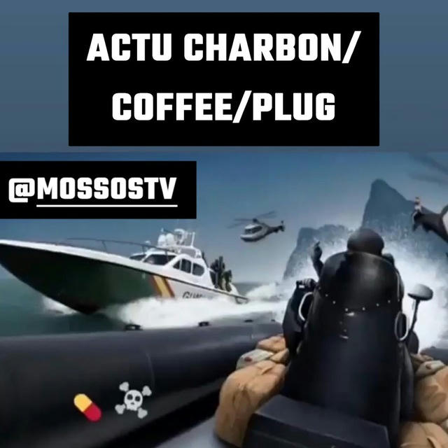 MOSSOS ACTU COFFEE/PLUG/CHARBON