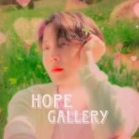 Hope Gallery 🍓