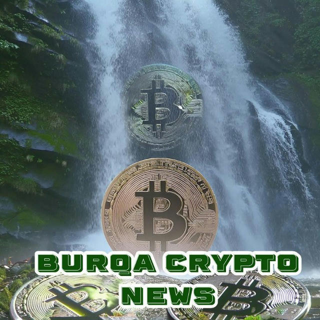 Burqa Crypto News