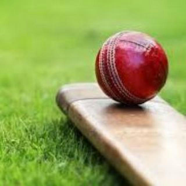 FREE IPL 2024 MATCH CRICKET 🏏 (Harshal Gandhi)