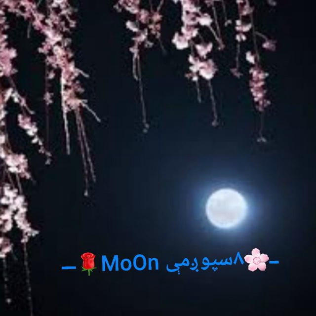 ــ🌸۸سپوږمې🌘MoOn🌹ـــ