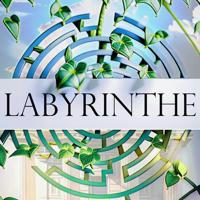 Du Labyrinthe aux Hypothèses