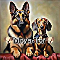 🐶Mitya•Tor🐶